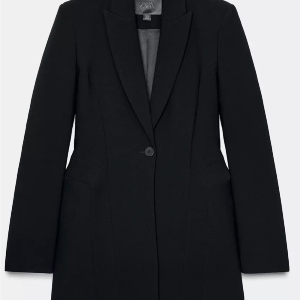 Zara Fitted Blazer Limited Edition